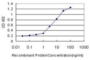 Detection limit for recombinant GST tagged FBXO11 is approximately 0.