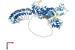AlphaFold protein structure predicition of Human Recombinant HACE1 Protein, UniprotID Q8IYU2