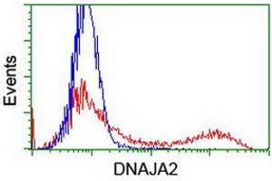 HEK293T cells transfected with either RC202204 overexpress plasmid (Red) or empty vector control plasmid (Blue) were immunostained by anti-DNAJA2 antibody (ABIN2454004), and then analyzed by flow cytometry. (DNAJA2 anticorps)