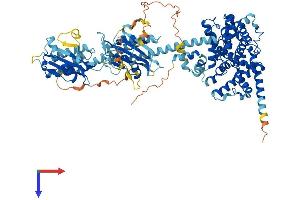 AlphaFold protein structure predicition of Mouse Recombinant Pde5a Protein, UniprotID Q8CG03