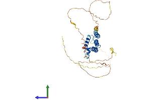 AlphaFold protein structure predicition of Human Recombinant HEY2 Protein, UniprotID Q9UBP5
