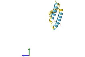 AlphaFold protein structure predicition of Human Recombinant SMIM10 Protein, UniprotID Q96HG1