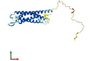 AlphaFold protein structure predicition of Mouse Recombinant Syngr2 Protein, UniprotID O55101