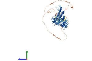 AlphaFold protein structure predicition of Mouse Recombinant Taok1 Protein, UniprotID Q5F2E8