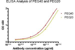 ELISA analysis of PEG40 and PEG20 using  PEG Antibody (Biotin), mAb, Mouse (Cat.