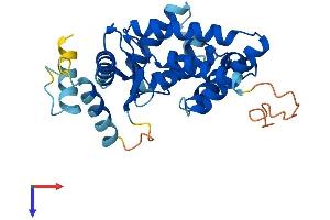 AlphaFold protein structure predicition of Mouse Recombinant Lix1 Protein, UniprotID Q6P566