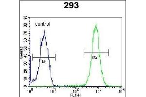 SAR1B Antibody (Center) (ABIN654355 and ABIN2844120) flow cytometric analysis of 293 cells (right histogram) compared to a negative control cell (left histogram).