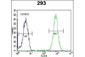 SAR1B Antibody (Center) (ABIN654355 and ABIN2844120) flow cytometric analysis of 293 cells (right histogram) compared to a negative control cell (left histogram). (SAR1B anticorps  (AA 89-116))