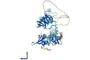 AlphaFold protein structure predicition of Human Recombinant EIF2D Protein, UniprotID P41214