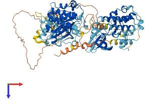 AlphaFold protein structure predicition of Mouse Recombinant Rps6ka3 Protein, UniprotID P18654