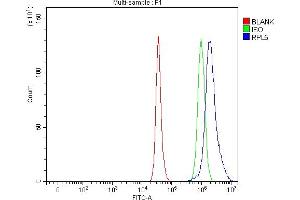 Flow Cytometry analysis of HepG2 cells using anti-RPL5 antibody (ABIN7601007). (RPL5 anticorps  (AA 27-297))