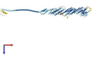 AlphaFold protein structure predicition of Human Recombinant EXOC6 Protein, UniprotID Q8TAG9