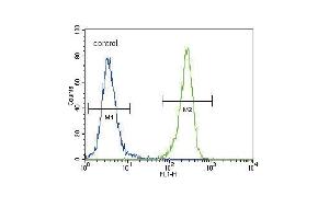 DDR1 Antibody (Center) (ABIN391458 and ABIN2841434) flow cytometric analysis of 293 cells (right histogram) compared to a negative control cell (left histogram). (DDR1 anticorps  (AA 299-330))
