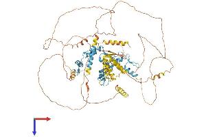AlphaFold protein structure predicition of Human Recombinant ZBTB49 Protein, UniprotID Q6ZSB9