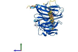 AlphaFold protein structure predicition of Human Recombinant RCCD1 Protein, UniprotID A6NED2