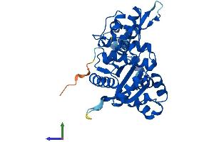 AlphaFold protein structure predicition of Human Recombinant POLB Protein, UniprotID P06746