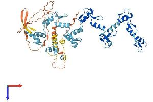 AlphaFold protein structure predicition of Human Recombinant ZNF879 Protein, UniprotID B4DU55
