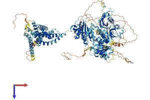 AlphaFold protein structure predicition of Human Recombinant KCNU1 Protein, UniprotID A8MYU2