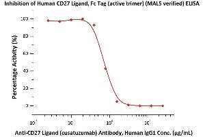 Serial dilutions of A Ligand (cusatuzumab) Antibody, Human IgG1 were added into Human CD27 Ligand, Fc Tag (active trimer) (MALS verified) (ABIN6951036,ABIN6952263): Biotinylated Human CD27, Fc,Avitag (ABIN4949011,ABIN4949012) binding reactions.