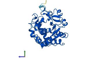 AlphaFold protein structure predicition of Human Recombinant SULT1B1 Protein, UniprotID O43704