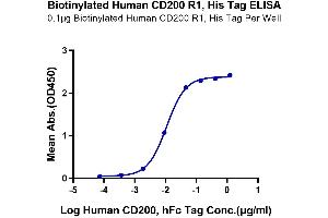 Immobilized Biotinylated Human CD200 R1, His Tag at 1 μg/mL (100 μL/Well) on the plate.