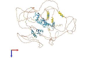 AlphaFold protein structure predicition of Human Recombinant BCL11A Protein, UniprotID Q9H165