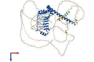 AlphaFold protein structure predicition of Mouse Recombinant Dnaaf1 Protein, UniprotID Q9D2H9