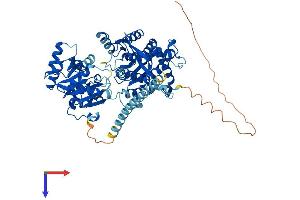 AlphaFold protein structure predicition of Mouse Recombinant Recql Protein, UniprotID Q9Z129