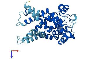 AlphaFold protein structure predicition of Human Recombinant SLC25A6 Protein, UniprotID P12236