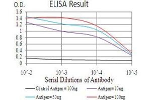 Black line: Control Antigen (100 ng), Purple line: Antigen(10 ng), Blue line: Antigen (50 ng), Red line: Antigen (100 ng),