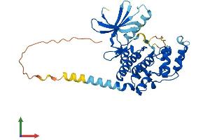 AlphaFold protein structure predicition of Mouse Recombinant Cdkl4 Protein, UniprotID Q3TZA2