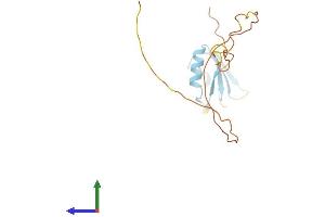 AlphaFold protein structure predicition of Mouse Recombinant Srsf3 Protein, UniprotID P84104