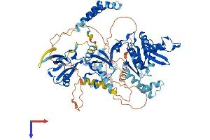 AlphaFold protein structure predicition of Human Recombinant PALS1 Protein, UniprotID Q8N3R9