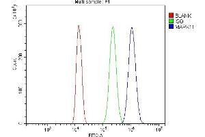 Flow Cytometry analysis of THP-1 cells using anti-MAPK11 antibody (ABIN7600772).