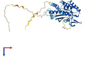 AlphaFold protein structure predicition of Human Recombinant SEPTIN3 Protein, UniprotID Q9UH03