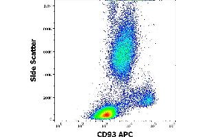 Flow cytometry surface staining pattern of human peripheral whole blood stained using anti-human CD93 (VIMD2) APC antibody (4 μL reagent / 100 μL of peripheral whole blood). (CD93 anticorps  (APC))