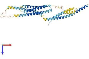 AlphaFold protein structure predicition of Mouse Recombinant Stx16 Protein, UniprotID Q8BVI5