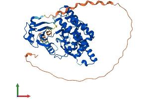 AlphaFold protein structure predicition of Mouse Recombinant Chka Protein, UniprotID O54804