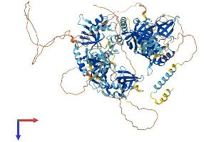 AlphaFold protein structure predicition of Mouse Recombinant Tdrd1 Protein, UniprotID Q99MV1