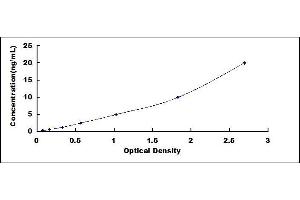 Wolfram Syndrome 1 (WFS1) ELISA Kit