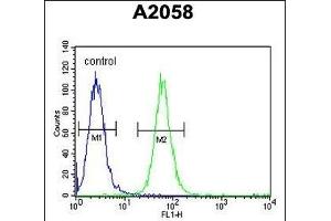 anti-Abhydrolase Domain Containing 14B (ABHD14B) (AA 150-179), (C-Term) antibody