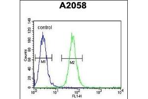 ABHEB Antibody (C-term) (ABIN653654 and ABIN2842995) flow cytometric analysis of  cells (right histogram) compared to a negative control cell (left histogram). (ABHD14B anticorps  (C-Term))