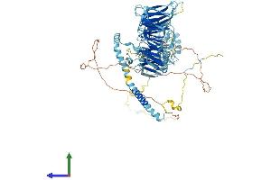 AlphaFold protein structure predicition of Mouse Recombinant Eif3b Protein, UniprotID Q8JZQ9