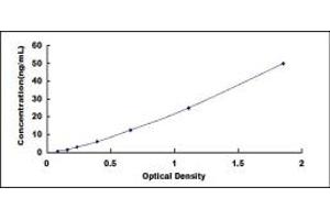 Typical standard curve (PRCP Kit ELISA)