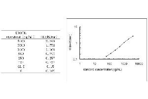 Pregnancy-Associated Plasma Protein A, Pappalysin 1 (PAPPA) ELISA Kit