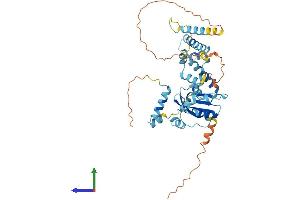 AlphaFold protein structure predicition of Human Recombinant RBM41 Protein, UniprotID Q96IZ5