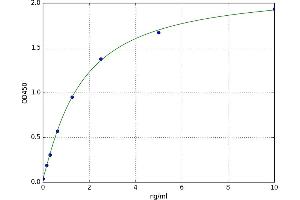 A typical standard curve