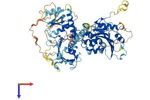 AlphaFold protein structure predicition of Human Recombinant EXTL1 Protein, UniprotID Q92935