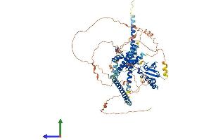 AlphaFold protein structure predicition of Mouse Recombinant Skil Protein, UniprotID Q60665