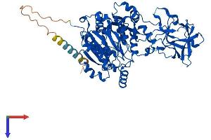 AlphaFold protein structure predicition of Mouse Recombinant Galnt4 Protein, UniprotID O08832
